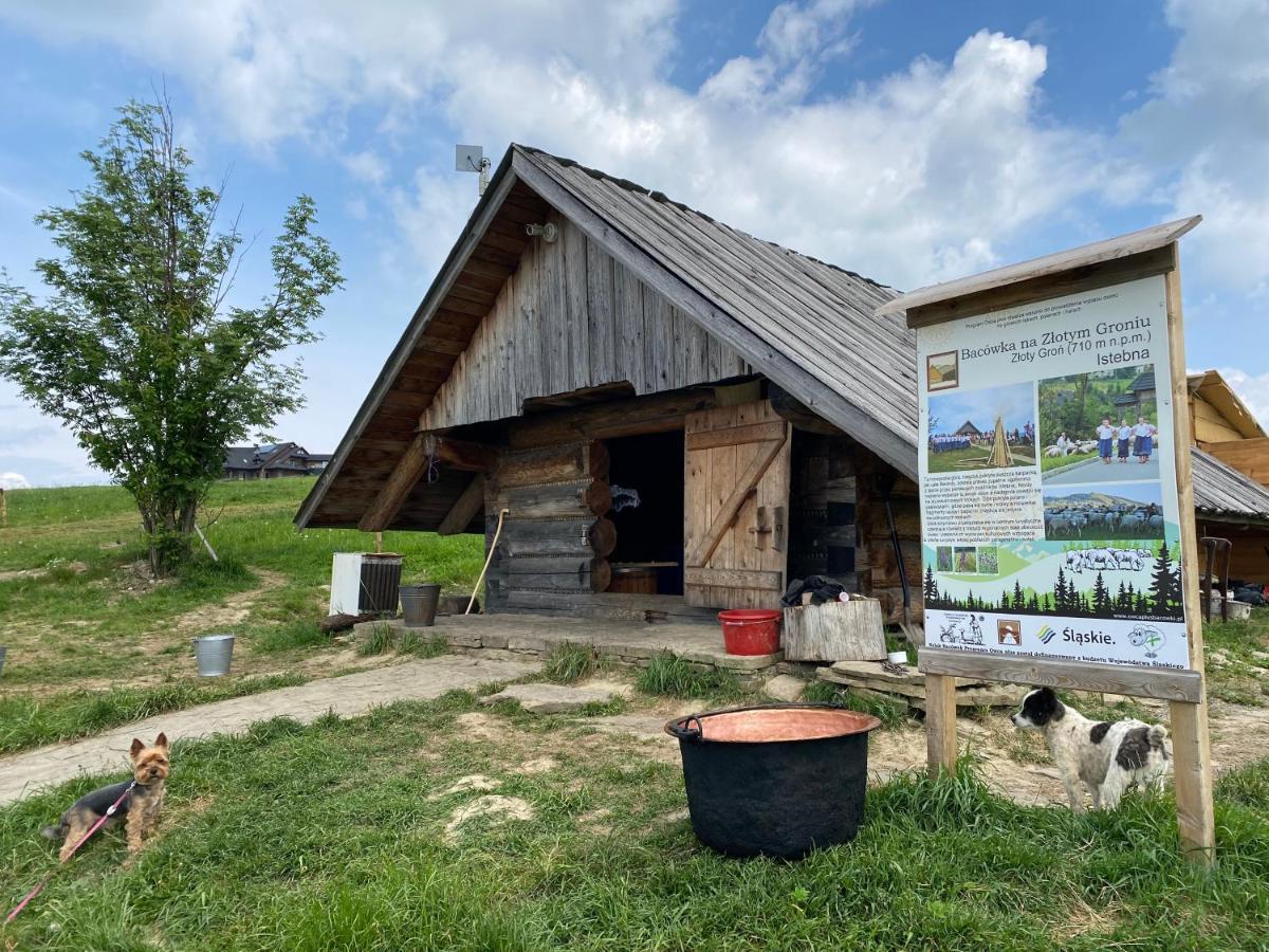Zloty Gron Log Houses & Apartments Istebna Dış mekan fotoğraf
