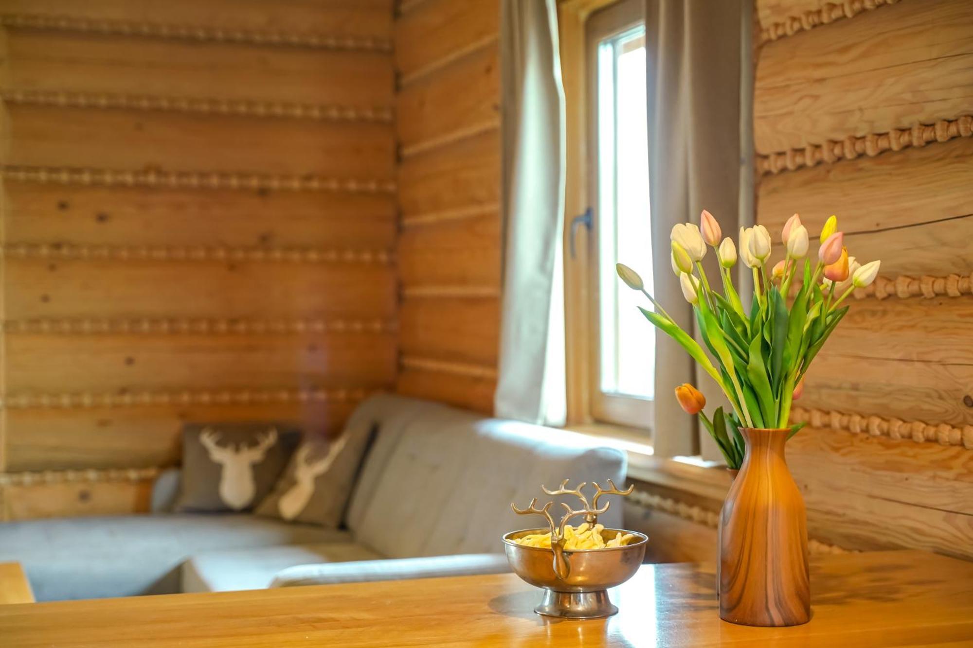 Zloty Gron Log Houses & Apartments Istebna Dış mekan fotoğraf